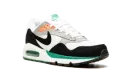 AIR MAX CORRELATE WMNS "New Green" 511417 136