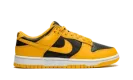 Dunk Low "Goldenrod" DD1391 004