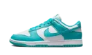Dunk Low Next Nature WMNS "Dusty Cactus" DD1873 105