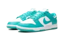 Dunk Low Next Nature WMNS "Dusty Cactus" DD1873 105
