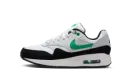 Air Max 1 GS "White Stadium Green" DZ3307 108