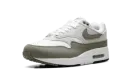 Air Max 1 WMNS "Green" DZ2628 112