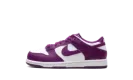 Dunk Low PS "Viotech White" FB9108 110