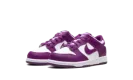 Dunk Low PS "Viotech White" FB9108 110