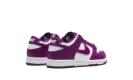 Dunk Low PS "Viotech White" FB9108 110