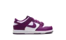Dunk Low PS "Viotech White" FB9108 110