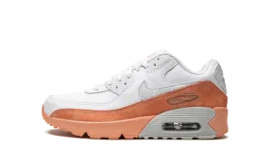 Air Max LTR 90 GS DM0956 100