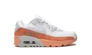 Air Max LTR 90 GS DM0956 100