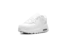 Air Max 90 Leather TD "White" CD6868 100
