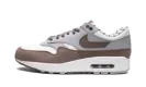 Air Max 1 "Shima Shima" FB8916 100