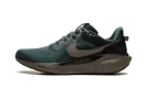 Air Zoom Pegasus 41 SP "Faded Spruce" HQ6025 300