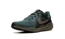 Air Zoom Pegasus 41 SP "Faded Spruce" HQ6025 300