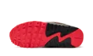 Air Max 90 Retro "Reverse Duck Camo" CW6024 600