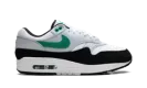 Air Max 1 "STADIUM GREEN" FN6952 100