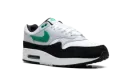 Air Max 1 "STADIUM GREEN" FN6952 100