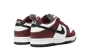 Dunk Low "Dark Team Red" FZ4352 600