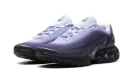 Air Max Dn WMNS "Dark Raisin Dusty Amethyst Black Amethyst Tint" HQ4050 500