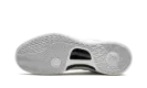 Kobe 8 Protro "Triple White 2023" FJ9364 100
