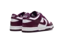 Dunk Low GS "Viotech" FB9109 110
