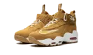 Air Griffey Max 1 GS "Wheat" DO6685 700