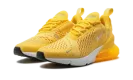 AIR MAX 270 WMNS "Topaz Gold" AH6789 701