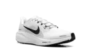 Air Zoom Pegasus WMNS "White / Black" HF1538 100