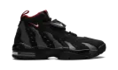 AIR DT MAX '96 "Falcons" HQ3620 010