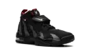 AIR DT MAX '96 "Falcons" HQ3620 010