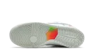 SB Dunk Low Pro BeTrue "Be True" DR4876 100