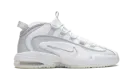 Air Max Penny "Pure Platinum" DV7220 100