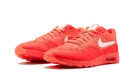 AIR MAX 1 ULTRA FLYKNIT WMNS 843387 601