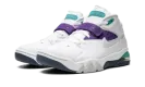 Air Force Max B "Ultraviolet" 555105 101