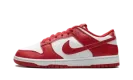 Dunk Low "St. Johns (2025)" HF5441 104