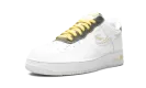 Air Force 1 Low "Gold Link Zebra" DH5284 100