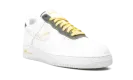 Air Force 1 Low "Gold Link Zebra" DH5284 100