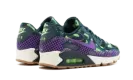 OMENS AIR MAX 90 WMNS 807298 300