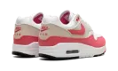 Air Max 1 WMNS "Aster Pink" DZ2628 110