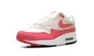 Air Max 1 WMNS "Aster Pink" DZ2628 110
