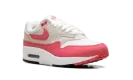 Air Max 1 WMNS "Aster Pink" DZ2628 110