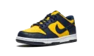 Dunk Low GS "Michigan 2021" CW1590 700