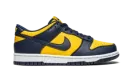 Dunk Low GS "Michigan 2021" CW1590 700