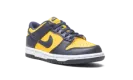 Dunk Low GS "Michigan 2021" CW1590 700