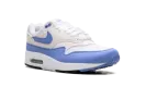 Air Max 1 WMNS "Royal Pulse" DZ2628 113
