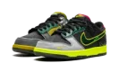 Nike Dunk Low UO PREM "What The Duck Home" HV1454 001