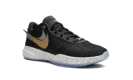 LeBron 20 "Black/Metallic Gold" DJ5423 003
