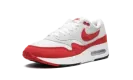 Air Max 1 '86 "Big Bubble - Red" DQ3989 100