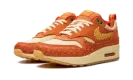 AIR MAX 1 PRM MNS WMNS "Somos Familia" DZ5352 847