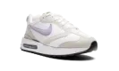 AIR MAX DAN MNS WMNS DC4068 100