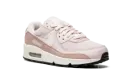 AIR MAX 90 MNS WMNS DH8010 600