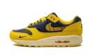 AIR MAX 1 PRM MNS WMNS "Co.jp Head to Head" FJ5479 410